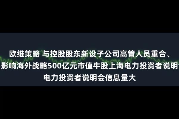 欧维策略 与控股股东新设子公司高管人员重合、终止重组不影响海外战略500亿元市值牛股上海电力投资者说明会信息量大