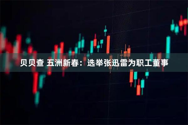 贝贝查 五洲新春：选举张迅雷为职工董事