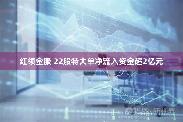 红领金服 22股特大单净流入资金超2亿元