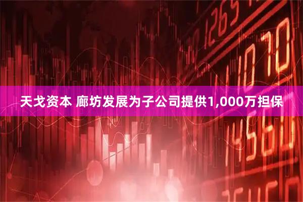 天戈资本 廊坊发展为子公司提供1,000万担保