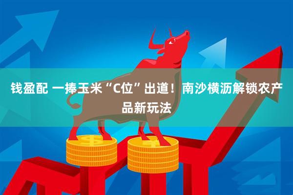 钱盈配 一捧玉米“C位”出道！南沙横沥解锁农产品新玩法