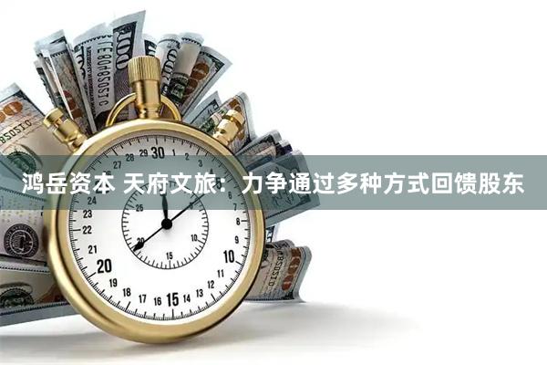 鸿岳资本 天府文旅：力争通过多种方式回馈股东