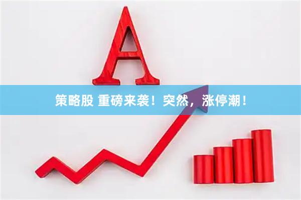 策略股 重磅来袭！突然，涨停潮！