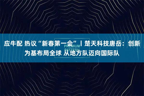 应牛配 热议“新春第一会”丨楚天科技唐岳：创新为基布局全球 从地方队迈向国际队