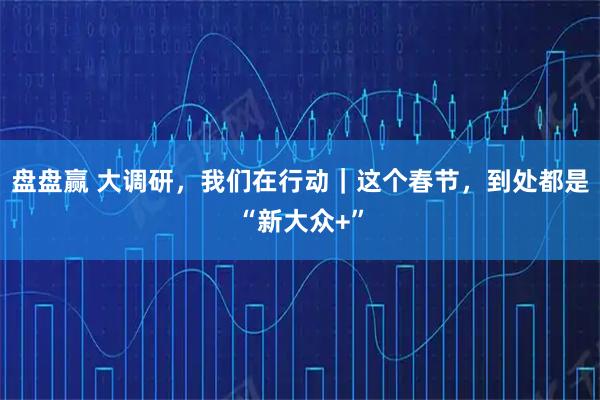 盘盘赢 大调研，我们在行动｜这个春节，到处都是“新大众+”
