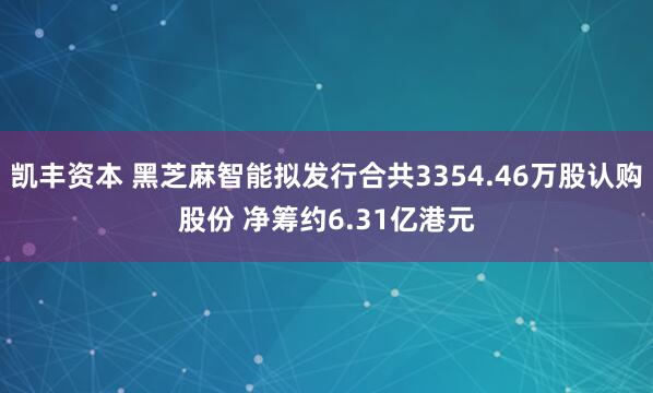 凯丰资本 黑芝麻智能拟发行合共3354.46万股认购股份 净筹约6.31亿港元